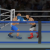 game sidering knockout